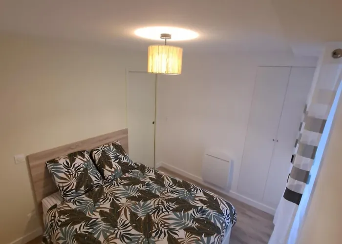 Logement T2 Neuf - Centre-Ville